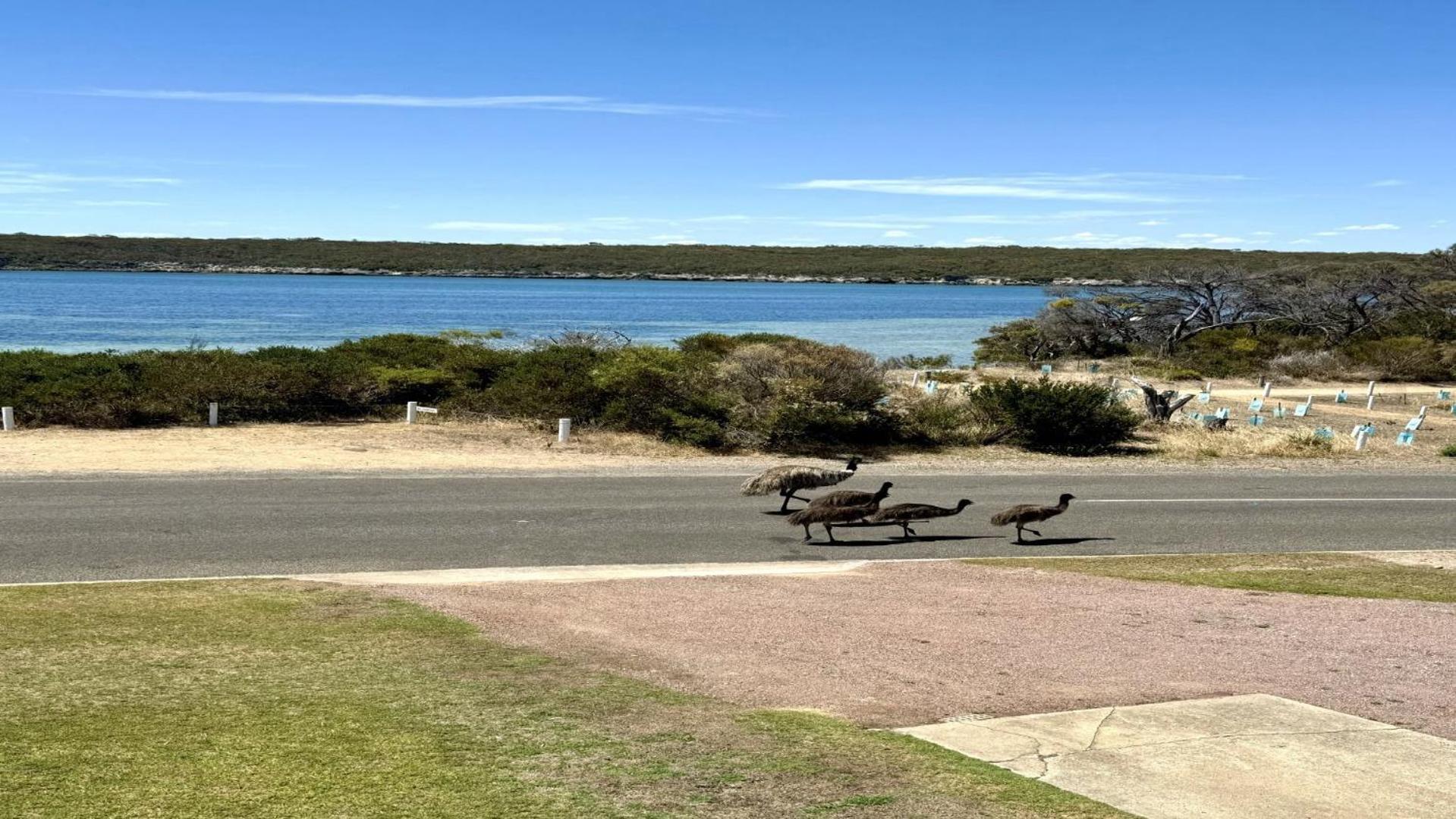 White Springs, Our Peaceful Holiday House In Coffin Bay Exterior foto